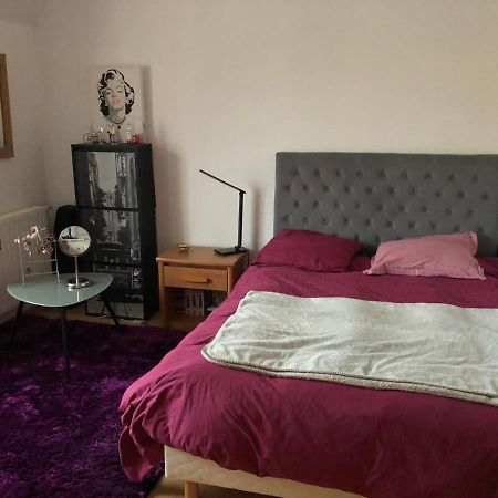 לה מאנש 3 Chambres Chez Particulier Pour Les 24H Du Mans מראה חיצוני תמונה